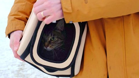 The cat is sitting in a carrier bag on the street in winter in the hands of a man and looks fearfully through the net. Moving a pet, visiting a veterinarian, convenience and safety