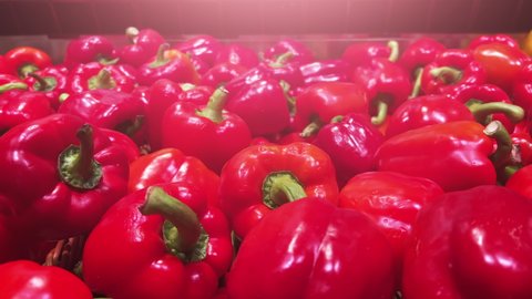Red bell peppers lie on the shelves of a supermarket or vegetable store