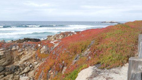Scenic 17-mile drive, Monterey, California USA. Rocky craggy ocean, sea water waves crashing. Pacific coast highway nature near Point Lobos, Big Sur and Pebble beach. Fence, green succulent ice plant.