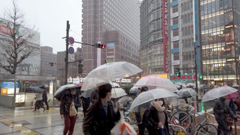 Tokyo - Japan - March 05, 2020, Shinjuku, Kabukicho area on the heavy snowing day. Japanese people are holding umbrella waiting for the light for crossing pedestrian . Concept Japanese film. 