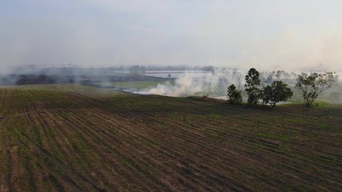 Aerial footage ascending revealing a burning farmland prepared for farming in Pak Pli, Nakhon Nayok, Thailand.