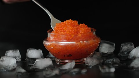 Red salmon salted roe caviar in big jar on black background close-up. Tasting salmon caviar salted roe. Hand with fork takes of caviar from the glass bowl close-up slow motion