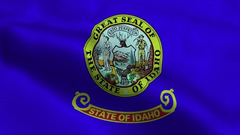 Idaho state flag USA waving in the wind. flag seamless loop animation. 4K