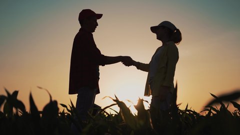 Teamwork. Agricultural business concept. Agronomists concluding a contract with a handshake. Two farmer agronomists at sunset teamwork. Conclusion of contract in agriculture. Handshake in a cornfield
