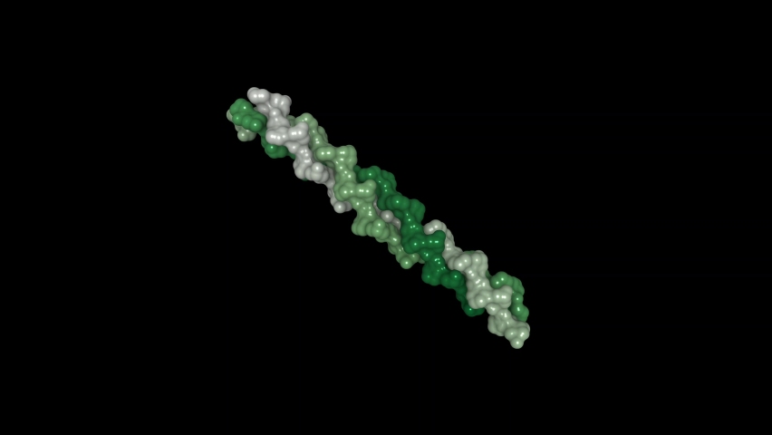 Molecular structure of collagen. Collagen is composed of three chains, wound together in a tight triple helix. 3D rendering based on experimental research data. Royalty-Free Stock Footage #1089606879