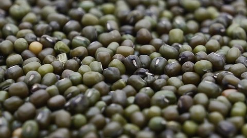 Mung beans texture rotating background. Kacang hijau. Green beans
