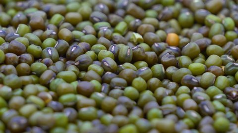 
Mung beans texture panning movement background. Kacang hijau. Green beans