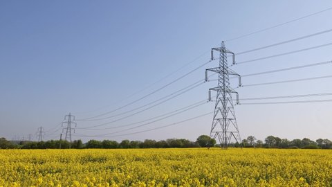 Electricity pylons in a field of rapeseed in full bloom on a sunny day. Hertfordshire, UK