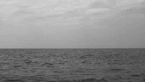 black and white landscape photo of water.The pattern of the gray water. The surface of the sea, light waves, beautiful reflections in the water, the glare of the sun and sky. 