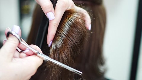 Close up of female hairdresser makes hairstyle on brunette woman in salon, cutting hair with scissors. High quality 4k footage