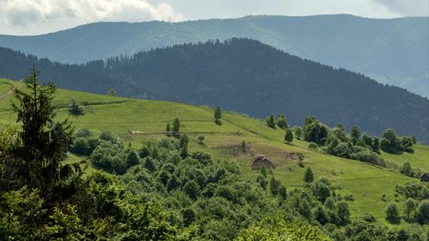 Mountain valley with bald forests in Ukraine. Top View. Deforestation of mountain forests. Footage of Ukrainian mountains in summer day. Panoramic view. Carpathian, Ukraine.