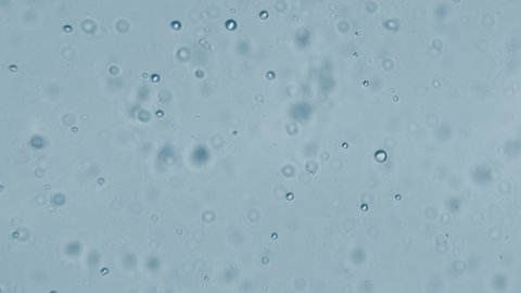 Microscopic Oxygen Bubbles Water Synthesis Production Stock Footage ...