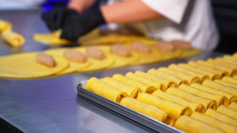 Full tray with semi-cooked stuffed crepes. Close up. Chef in gloves rolls yellow pancakes with stuffing at backdrop in blur.