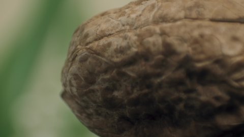 Macro shot of a walnut that spins on a beige background with green leaves.