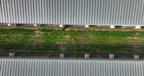 Factory farms for poultry chicken operations. Fans for bird ventilation. Top down aerial truck shot.