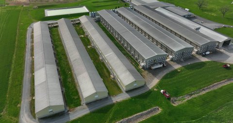 Large chicken farm in USA. Aerial establishing shot of poultry houses and barns. Egg production, meat food production theme.