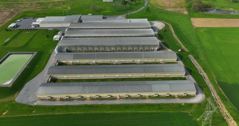 Rural scene of industrial factory farms in USA. Poultry chicken egg laying operation. Large houses and barns for birds.