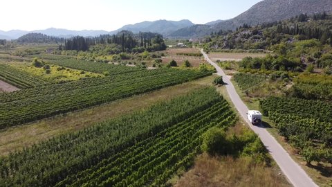Motorhome (Camper Van) Driving through Wine Vineyard in Croatia - Aerial