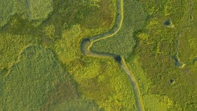 Top down of untouched nature landscape and swampy area, shooting from a drone. Location place Ukraine, Europe. Footage from a bird's eye view. Cinematic shot. Filmed in UHD 4k video. Beauty of earth.