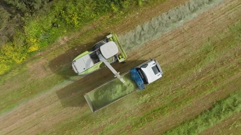 Forage harvester silage picking process post harvest, Aerial view.