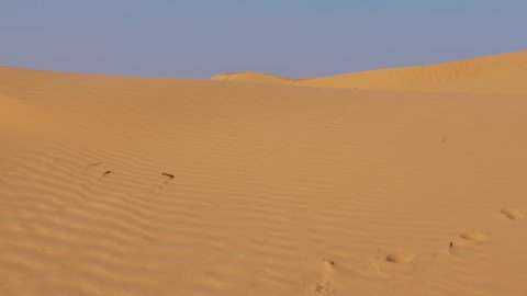 Movement from one dune to another. Someone is walking in desert. First-person view. Barkhans of quicksand in barren place. Man going through desolate area. Sand hills, small tree in distance