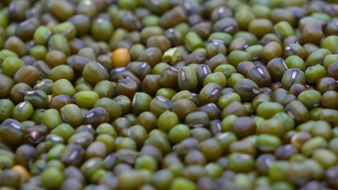 Mung beans texture panning movement background. Kacang hijau. Green beans