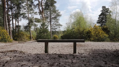 Bench in a public park outdoors on sandy heathland in Blackheath Surrey hills on sunny summer day