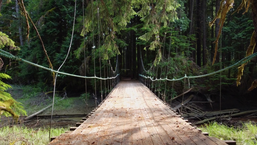 A suspension bridge leads to a hiking trail in a coastal forest