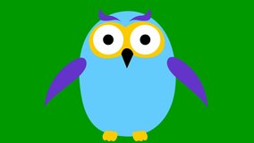 Animated funny blue owl flies. Looped video. Vector illustration isolated on a green background.