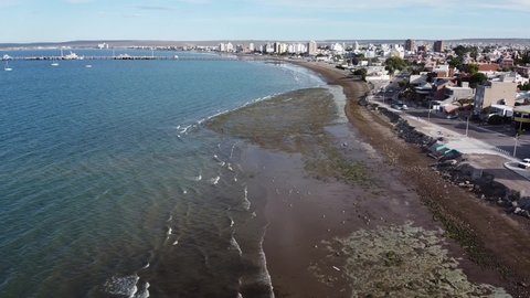 Panoramic view from drone of coast of Puerto Madryn city, Patagonia, Argentina. Coastline of Atlantic Ocean covered with algae within city of Puerto Madryn. Atlantic coast of Argentine Patagonia