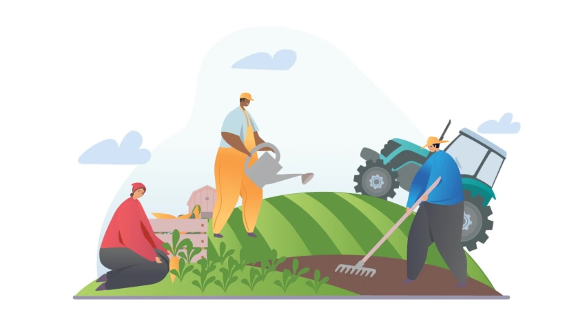 Farming and growing local food video concept. Moving men and women plant vegetables and cereals, plow field with tractor or rake and harvest ripe carrots. Agriculture. Flat graphic animated cartoon Royalty-Free Stock Footage #1089680187