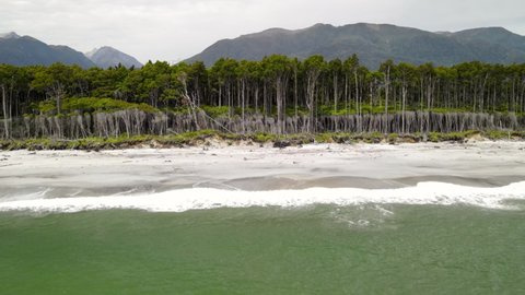 Maori Beach, where Rimu rainforest meets the sea. Untouched natural coastal scenery of West Coast, New Zealand - aerial panorama