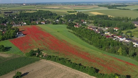 Aerial View Of Red Poppies Growing In The Rural Fields Near The Town.