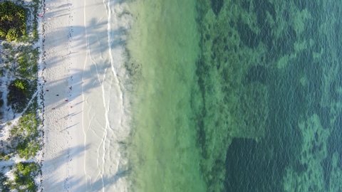 Vertical video empty beach on Zanzibar island, Tanzania, aerial view