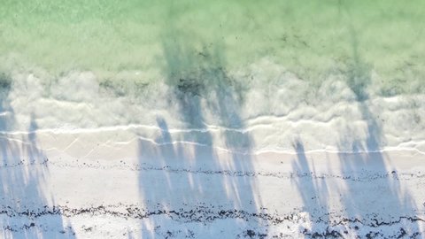 Vertical video empty beach on Zanzibar island, Tanzania, aerial view