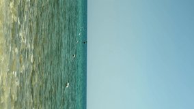 Enclosing buoys float on clear sea water surface. Vertical video. Tranquil sea waves on blue sky background. Tranquil seascape of clear sea water surface with buoys above pebble bottom