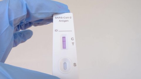 closeup female hands holding PCR test cassette, strip is painted over, assistant makes express test in medical scientific laboratory, stirs sample of genetic sample, concept of covid-19 infection