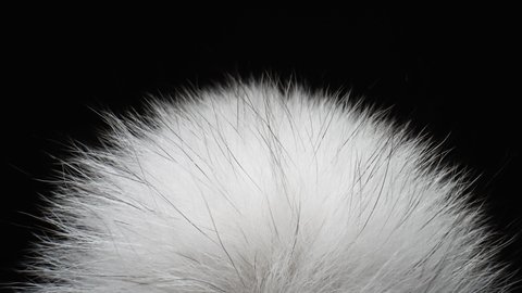 Bright White Animal Fur. The Camera Moves Through the Hairs of the Animal Fur. Fuzzy White Fur. Abstract Background Extreme Closeup