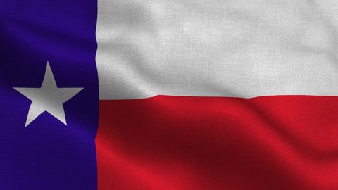 Texas state flag USA waving in the wind. flag seamless loop animation. 4K