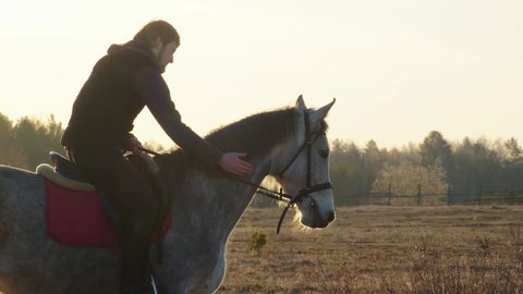 On a frosty early morning, the rider sitting on horseback and gently touches the horse's head, steam comes out of the animal's nostrils