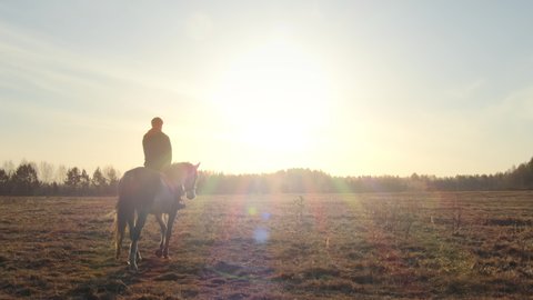 Silhouette of a rider on a horse moving across the morning field towards the rays of the rising sun