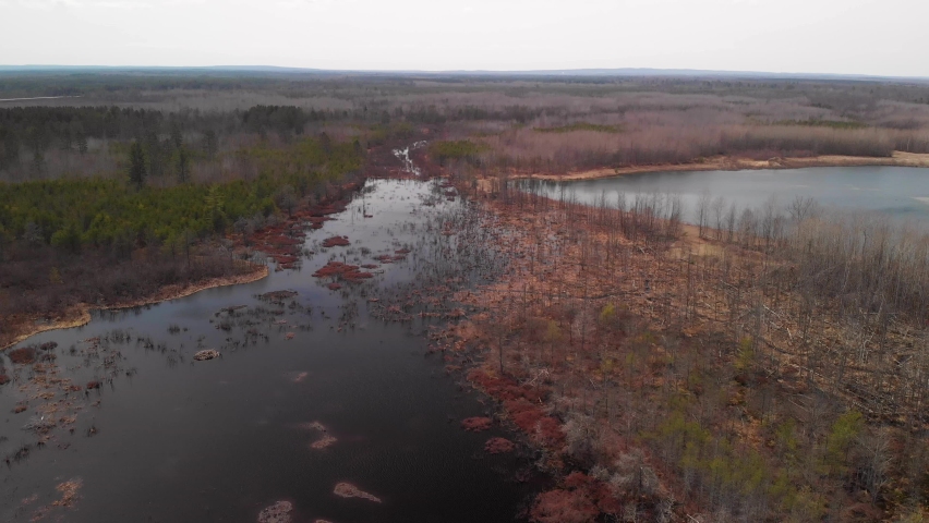 Wetlands in Spring in Michigan, USA, aerial view