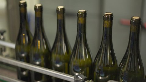 Corked wine bottles moving on conveyor in winery indoors. Close-up alcohol beverage bottling and labeling on wine factory. Winemaking business concept