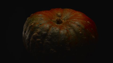 Close-up, forward movement with a turn, red pumpkin on a black background
