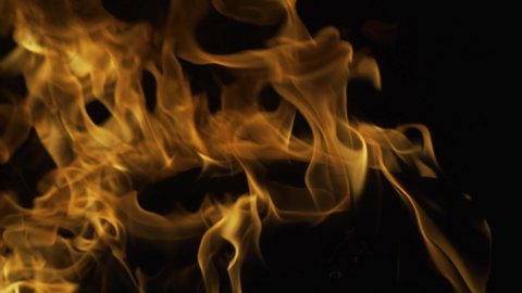 The fire, burning flame. Large burning flaming fire, blaze burning fire flame. Fire effect on black.
