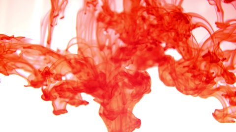 Colorful painted ink on water background. Abstract design of colour painted. Bloody red colour, blood in water. Color splash paint mixing. Multicolored liquid dye. Red blood in water. Colour fluid
