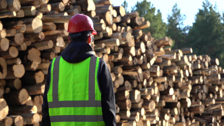 A worker in overalls stands next to a warehouse of logs harvested for woodworking.