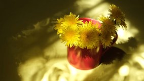 Red cup with fresh summer flower dandelions and incident sunset light from  window moves along table, shadow of  window curtains. Fresh breeze blows through the open window - Powered by Shutterstock - Get 15% off with code: PIKWIZARD15