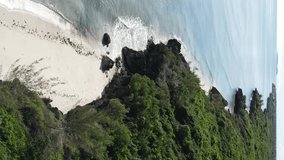 Zanzibar, Tanzania - ocean shore covered with green thickets, vertical video, aerial view