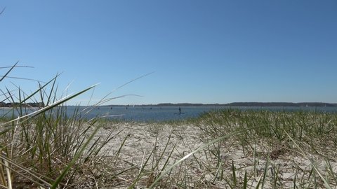 View through grass on the sandy beach of the Baltic Sea to the water on a sunny day.